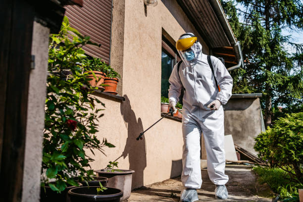 Best Pest Control Near Me in Monmouth Beach, NJ