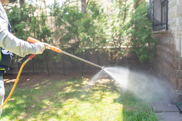 Professional Pest Control in Monmouth Beach, NJ