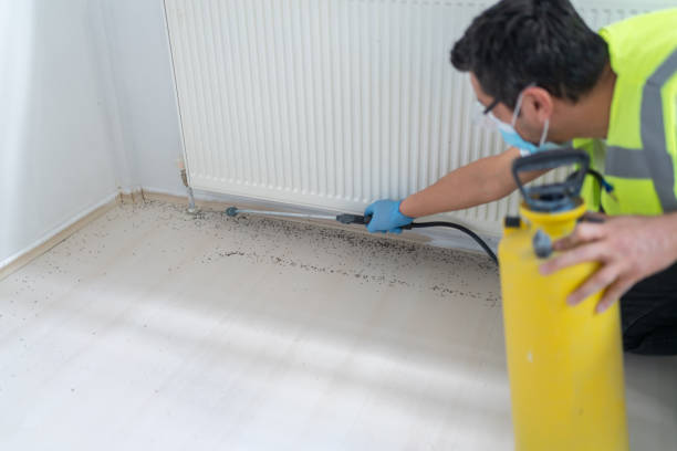 Best Best Pest Control Near Me  in Monmouth Beach, NJ