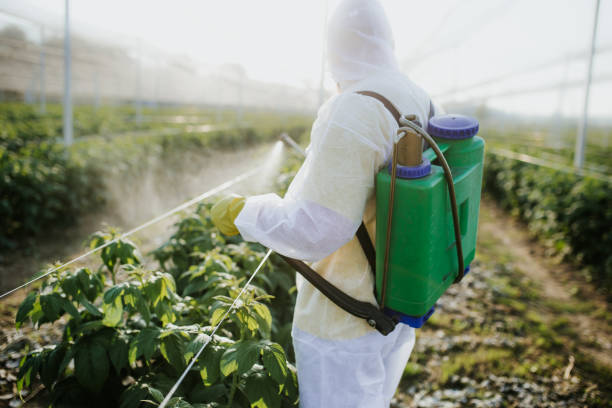 Best Bed Bug Extermination  in Monmouth Beach, NJ
